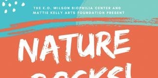 Biophilia MKAF Nature Rocks 2019