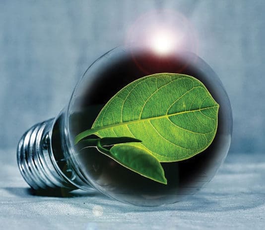 energy savings light bulb w leaf