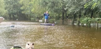Alaqua Flood