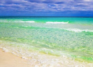 Public Relations Foundation To Award Scholarship