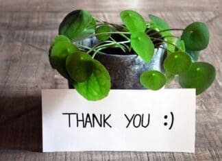 thank-you