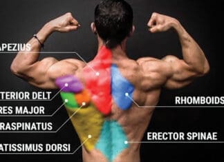 Do It Right! Sexy Back