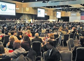 Local Athletes Recognized for Academic and Athletic Success