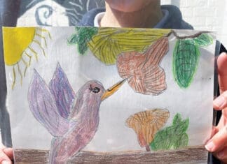 14th Annual Okaloosa Arts Alliance Poster Contest Call to Artists