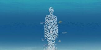 Underwater Museum of Art 2024 Installation Mermaid By Raine Bledsoe