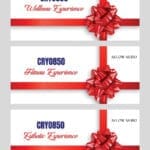 Cryo850 Gift Experience