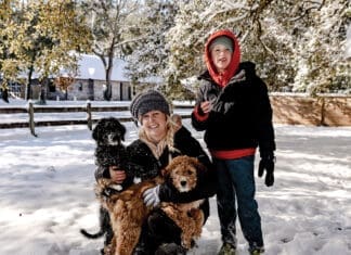 Destin Life Snow Day