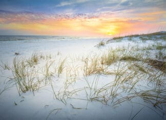 Peaceful View At The Gulf Islands National Seashore Florida