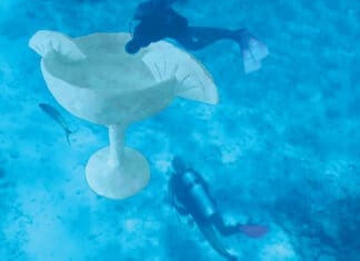 Expanded Underwater Museum