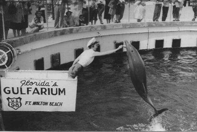 Gulfarium History