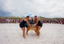 Gulfarium Turtle Release 2025 Aug