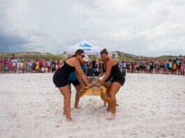 Gulfarium Turtle Release 2025 Aug