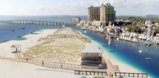 City Projects Norriego Point New Park Progress