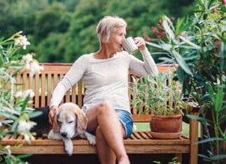 Simplifying Medicare Advantage v. Supplement Choices Coffee Dogs