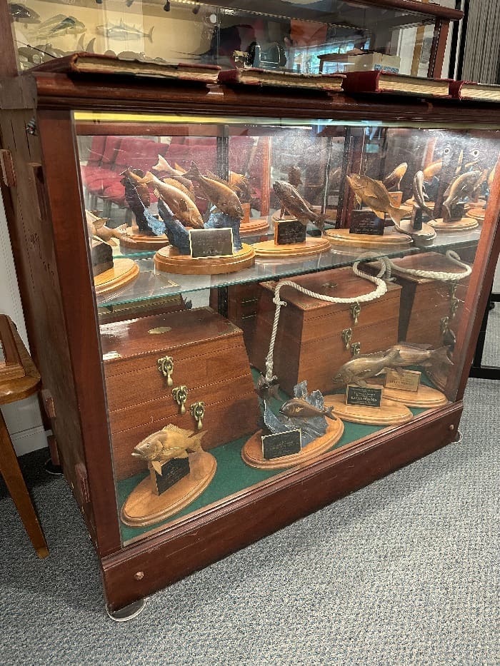 Destin History and Fishing Museum trophies in rodeo room