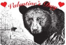 Ididahike2026 shirt website header Smore Header 2