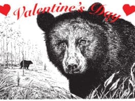 Ididahike2026 shirt website header Smore Header 2