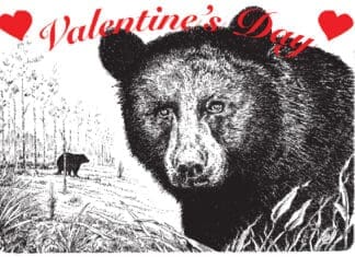 Ididahike2026 shirt website header Smore Header 2