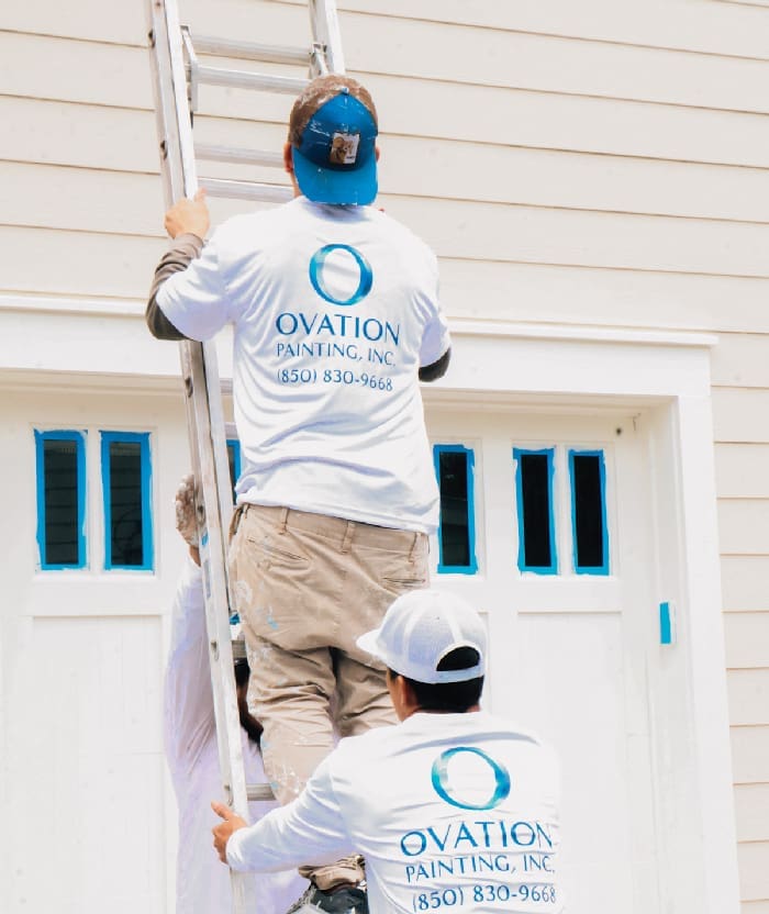 Ovation Painting workers