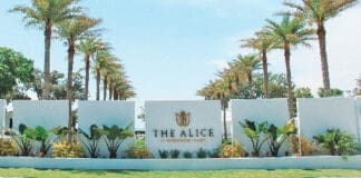 The Alice 1 IMG 8163 2