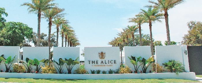 The Alice 1 IMG 8163 2