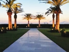 The Alice 4 IMG 1303