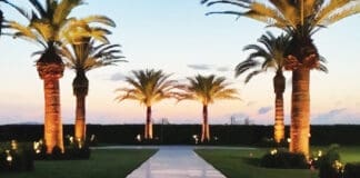 The Alice 4 IMG 1303