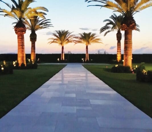 The Alice 4 IMG 1303