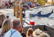 7K2A0460 Enhanced NR 2