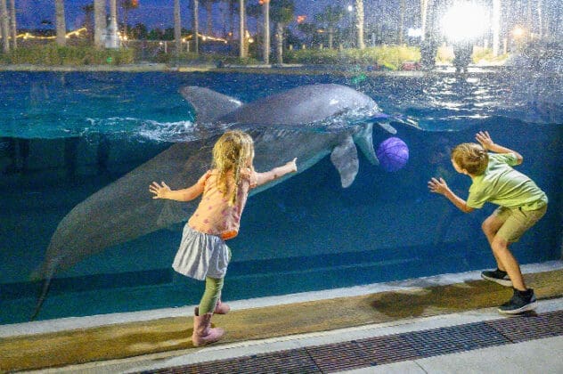 gulfarium oasis 0003 The Gulfarium Dolphin Oasis Ribbon Cutting 3 8 2024 Brian Douglas Photography LLC 22 of 22