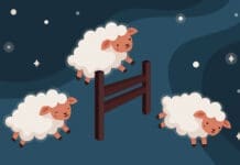 Chern sheep count iStock 1271805626