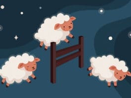 Chern sheep count iStock 1271805626
