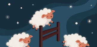 Chern sheep count iStock 1271805626