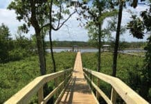 Compass Marine long dock