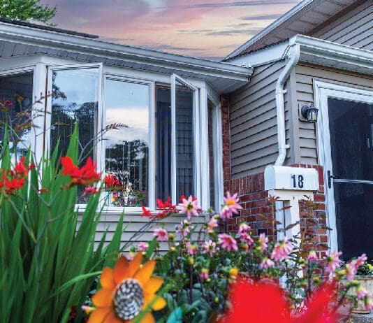 Fish Home windows iStock 1503144922