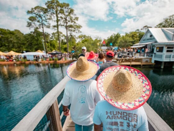 tequila and taco fest 2025 taco 2 v13