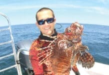 Alex Fogg lionfish