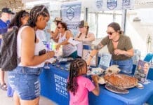 Copy of turtlefest 2026 1 2