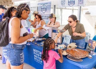 Copy of turtlefest 2026 1 2