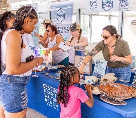 Copy of turtlefest 2026 1 2