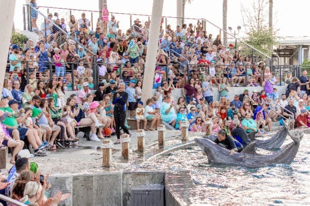 Copy of turtlefest 2026 7