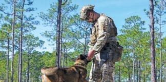Paws that Protect 240130 F QE874 1186