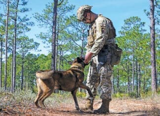 Paws that Protect: The Military Working Dogs Defending Hurlburt Field Paws that Protect 240130 F QE874 1186