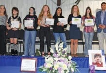 Art Okaloosa Art Show Winners 2026