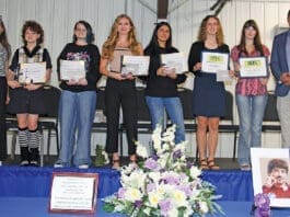 Art Okaloosa Art Show Winners 2026