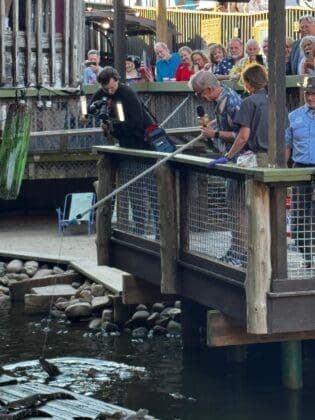 Steve Fishing for Gator