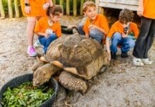 Gulfarium kids with tortoise