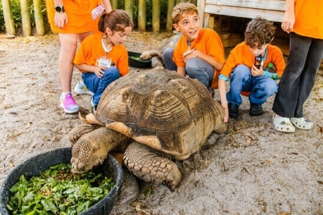 Gulfarium kids with tortoise