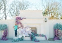 Milicevic Farm and Vineyard Intrigue Across Amer ica New Orleans Alaina René Photography 173
